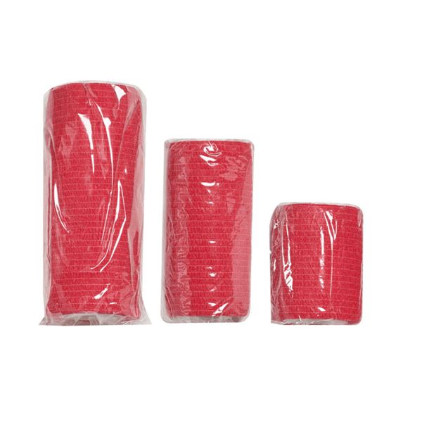 Survival First Aid Kit Pet (CZ)