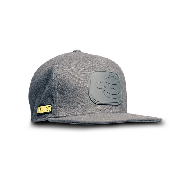 APEarel Dropback Snapback Grey