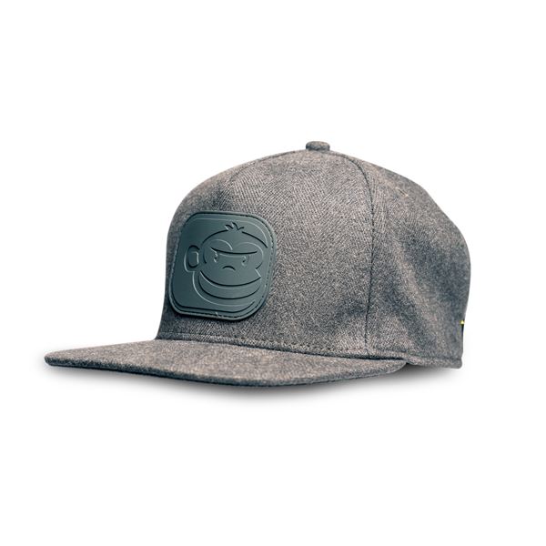 APEarel Dropback Snapback Grey