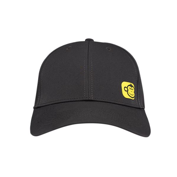 APEarel SportFlex Baseball Cap Grey