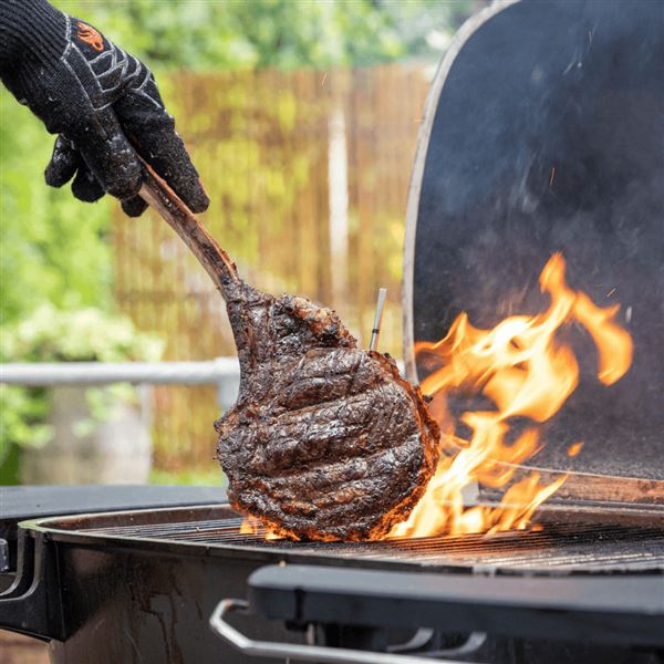 Bezdrátový teploměr na maso Meater Pro