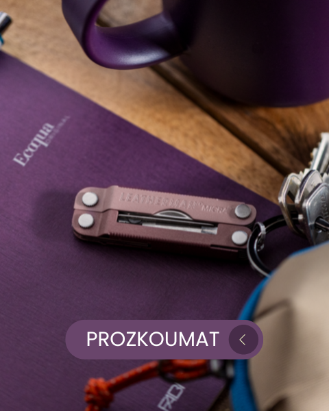 Multitool Leatherman Micra